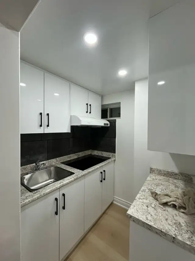 1 Bed 1 Bath Basement Apartment
