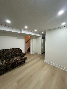 1 Bed 1 Bath Basement Apartment - Photo 7
