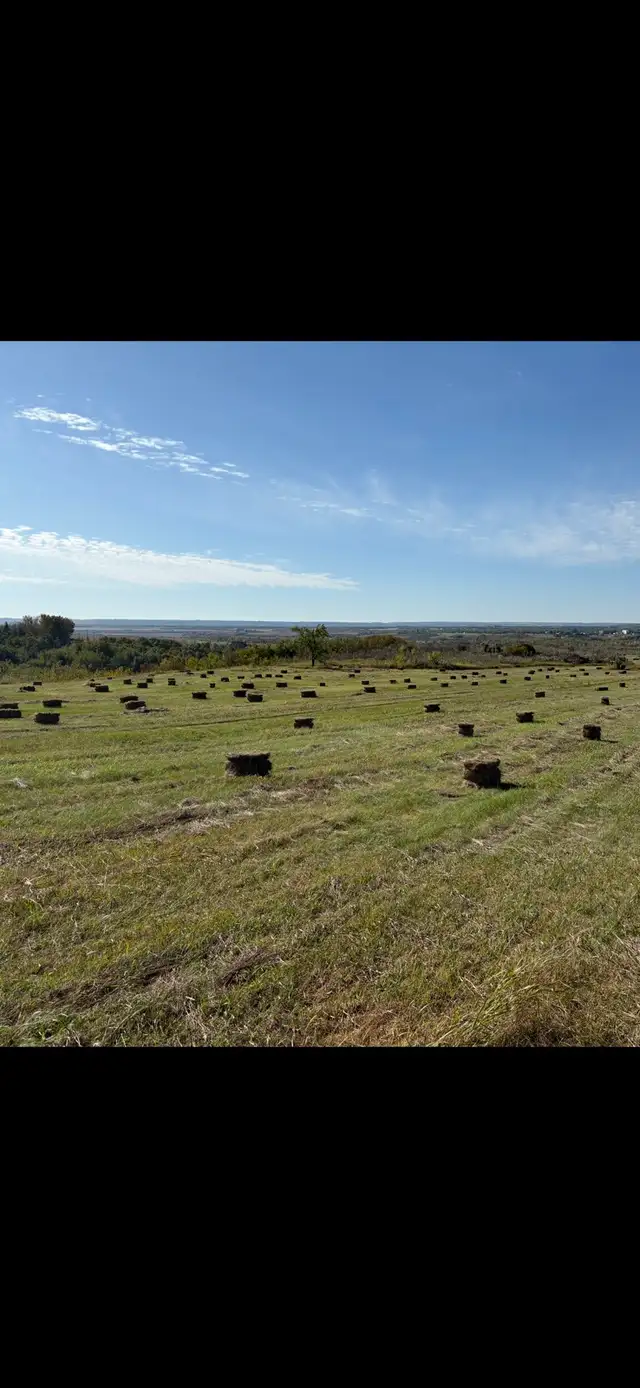 hay bales