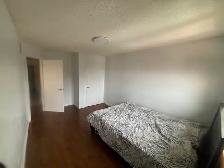 Spacious Private Rooms for Rent – Markham & Steeles - Photo 3