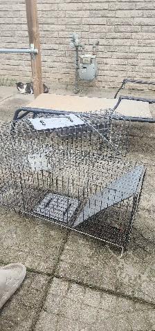 backyard animal traps