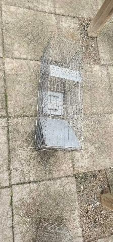 backyard animal traps - Photo 3