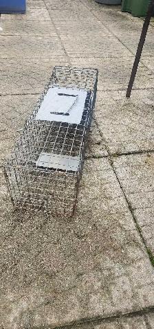 backyard animal traps - Photo 4