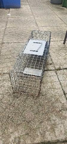backyard animal traps - Photo 5