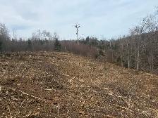 mulching for hire - Photo 3