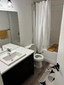 Room for Rent in Aspen SW – Available November 15 - Photo 4