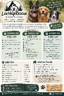 in-home dog boarding