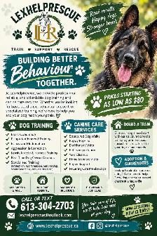 mobile canine services