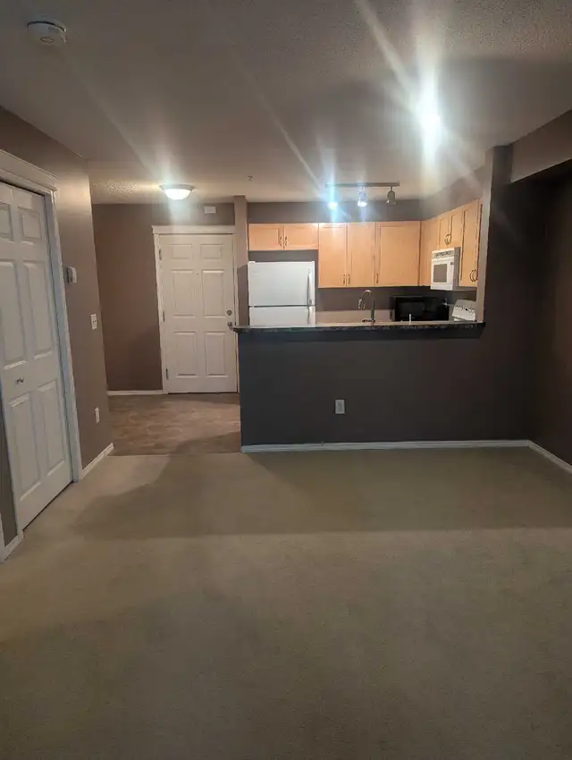 One Bedroom Condo Apartment