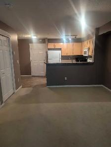 One Bedroom Condo Apartment