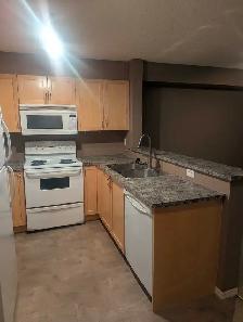 One Bedroom Condo Apartment - Photo 3