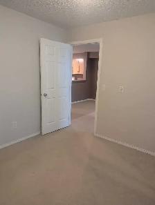 One Bedroom Condo Apartment - Photo 4