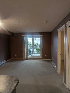 One Bedroom Condo Apartment - Photo 10