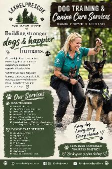 mobile dog training services - Photo 2