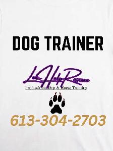 mobile dog training services - Photo 4