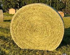 Round hay bales