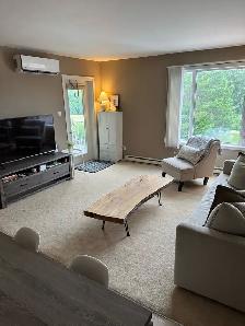 2 Bedroom Top Floor Corner Condo for Rent – Steinbach - Photo 3