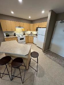 2 Bedroom Top Floor Corner Condo for Rent – Steinbach - Photo 5