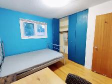 All Inclusive Private Bedroom near Carleton and Algonquin - Photo 2