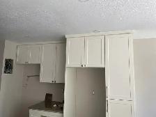kitchen Renovation - Photo 5