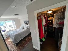 Oct1st,King/John,Ptivate Master Bedroom Bathroom,in3-Bedroom Apt - Photo 2