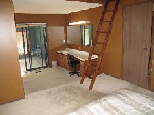 Share Spacious Master Bedroom for a girl 800/mo., Avail Oct. 1st - Photo 4