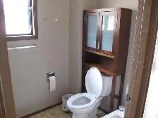 Share Spacious Master Bedroom for a girl 800/mo., Avail Oct. 1st - Photo 6