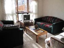 Share Spacious Master Bedroom for a girl 800/mo., Avail Oct. 1st - Photo 9