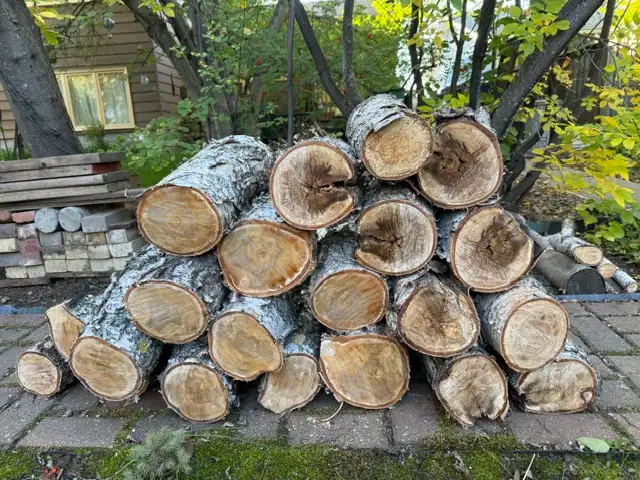 BIRCH FIREWOOD - $25
