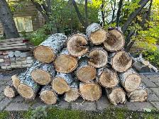 BIRCH FIREWOOD - $25