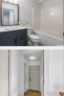 1 bedroom Legal Basement Suite - Photo 5