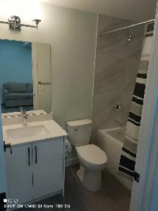 Room for Rent in Shared Legal Basement, in Homestead NE, Calgary - Photo 5