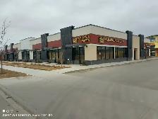 Room for Rent in Shared Legal Basement, in Homestead NE, Calgary - Photo 9