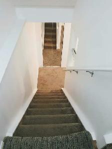 Basement For Rent In Taradale! - Photo 2