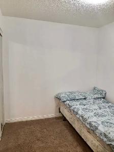 Basement For Rent In Taradale! - Photo 6