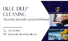 Blue Deep Cleaning Services - Photo 2