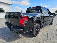 2024 Ford F-150 XLT XLT 4WD SuperCrew 5.5&amp.apos. Box - Photo 5