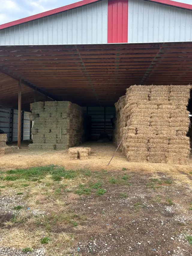 1st, 2nd cut hay