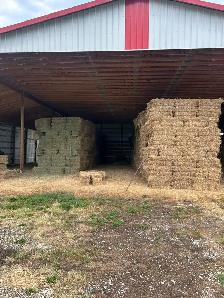 1st, 2nd cut hay