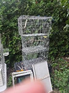 chutes des prix oiseaux et cages - Photo 6