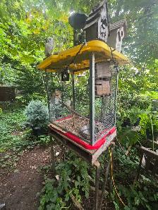 chutes des prix oiseaux et cages - Photo 8