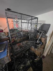 chutes des prix oiseaux et cages - Photo 10
