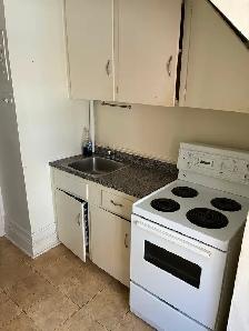 Large Sandy Hill Bachelor/Studio Apartment for Rent (259 Daly) - Photo 4
