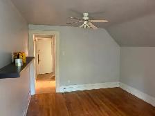 Large Sandy Hill Bachelor/Studio Apartment for Rent (259 Daly) - Photo 7