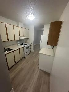 Two Bedroom Available Now in Minnow Lake