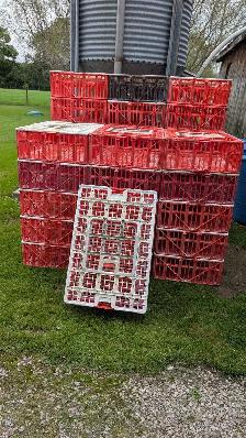 chicken crates