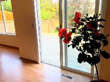 Bright, 3 bedroom, 3 bathroom house in McKenzie Lake - Photo 3