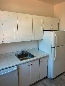 3 Bedroom Centretown Apartment for Rent (353 Frank St) - Photo 8