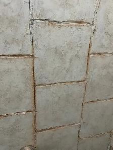 Re-Grout Shower Tiles $250