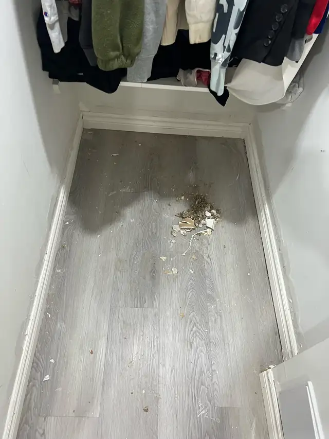 Door Baseboard Trim Replaced $100